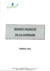 Tableau de synthèse Budget Primitif 2022